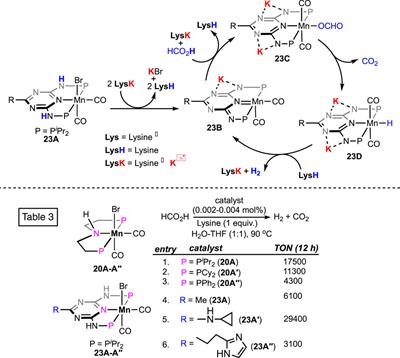 Transition metal pincer catalysts for formic acid dehydrogenation: a mechanistic perspective